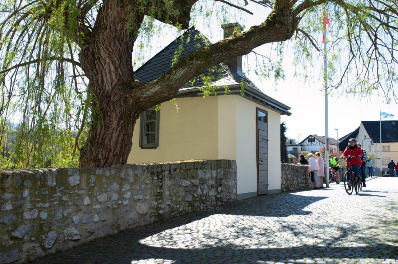 Ferienwohnung Lieselotte Диц Экстерьер фото